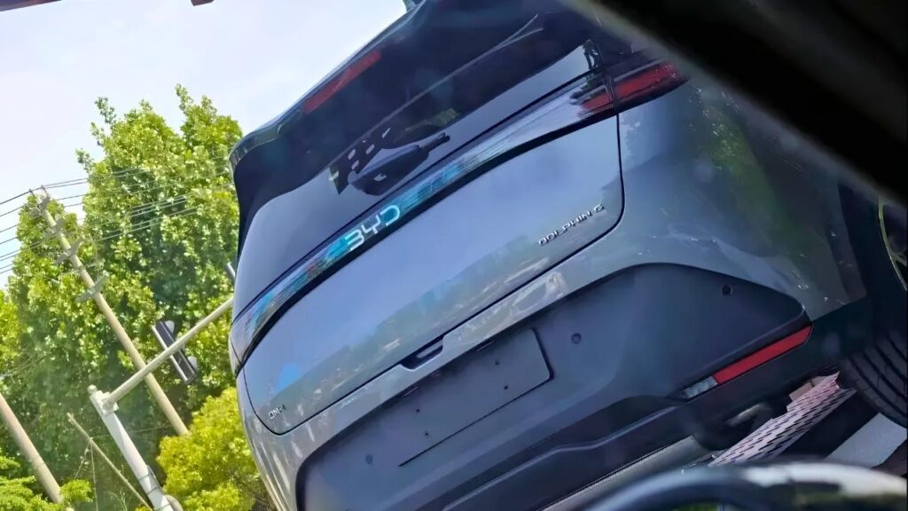 BYD Dolphin G rear look spotted