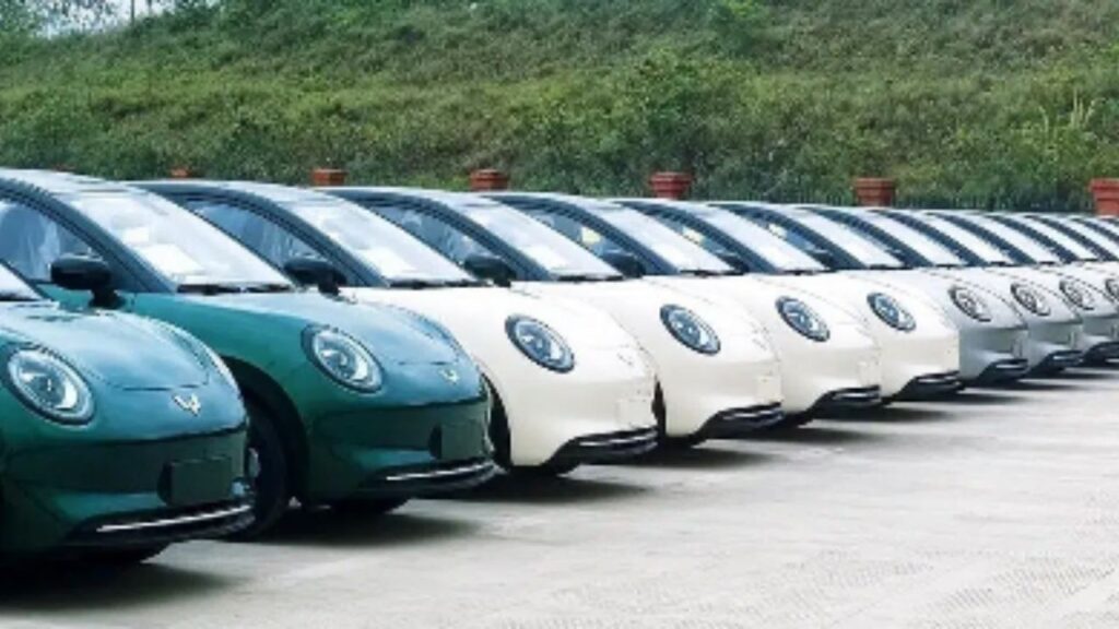 Wuling Binguo Pro 30000 order delivered