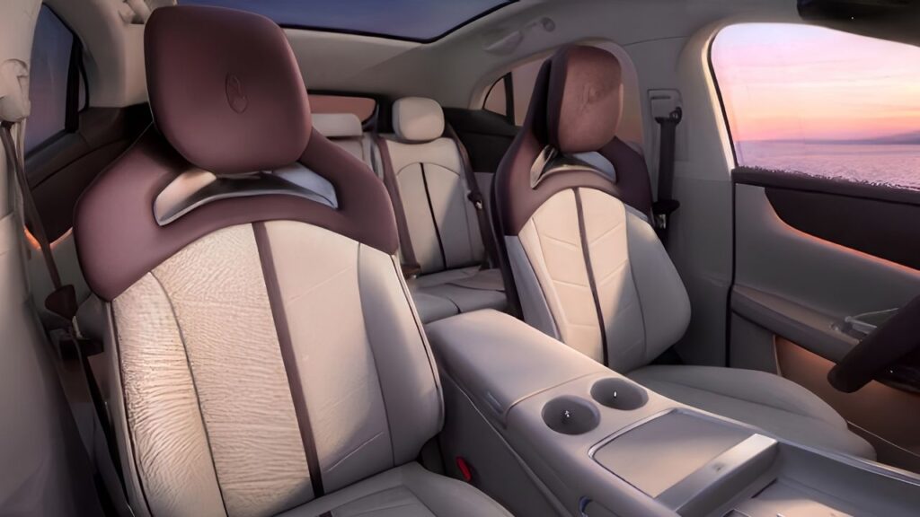 Luxeed RX interior